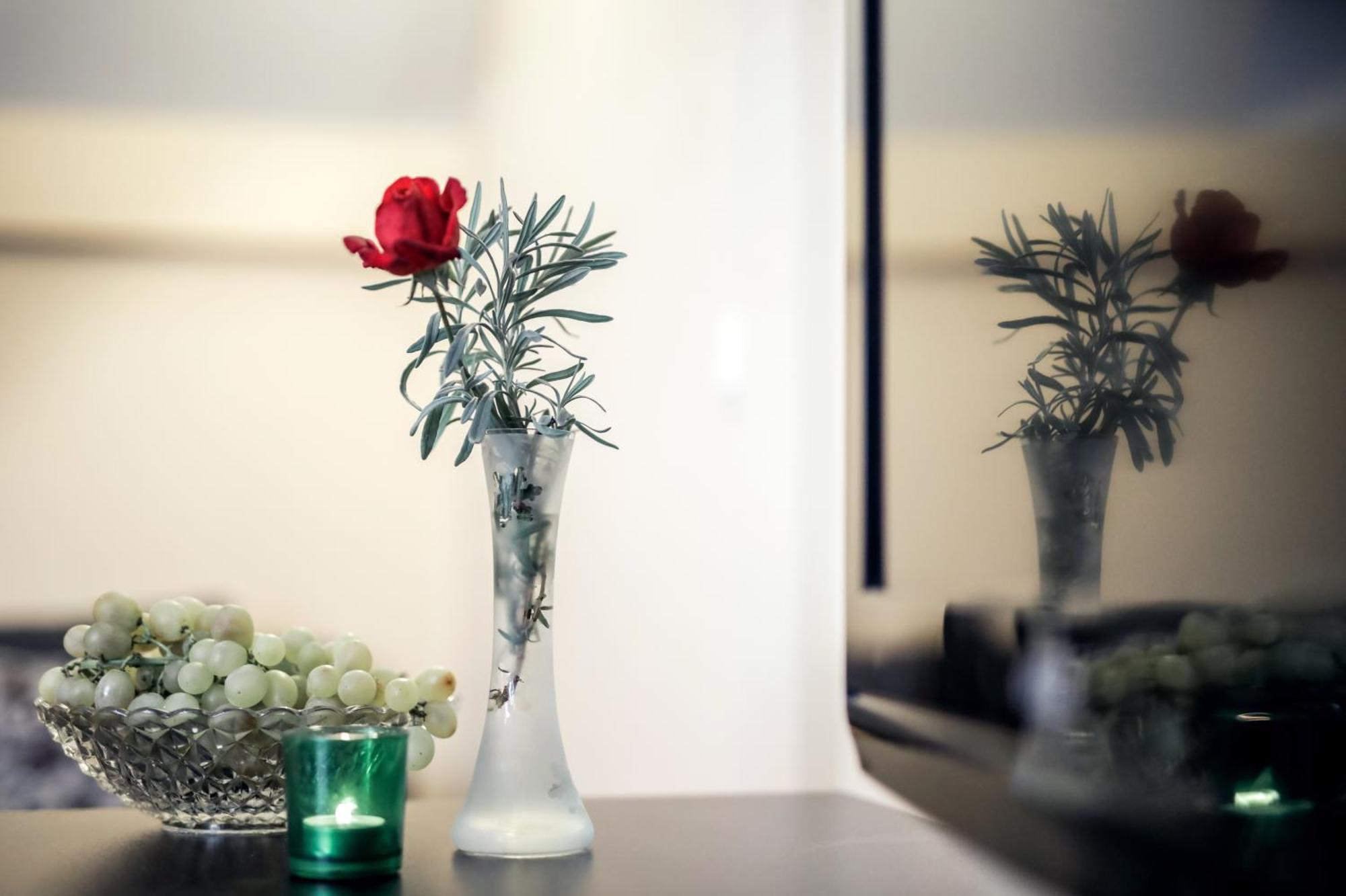 Rooms Villa Iva 伊洛克 外观 照片